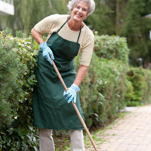 Services Images